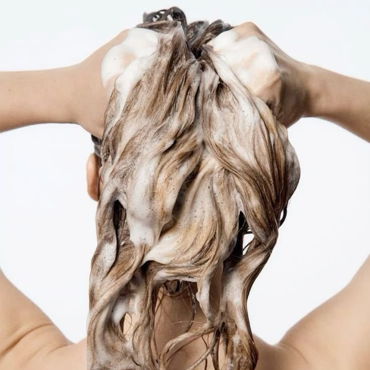 Shampoing