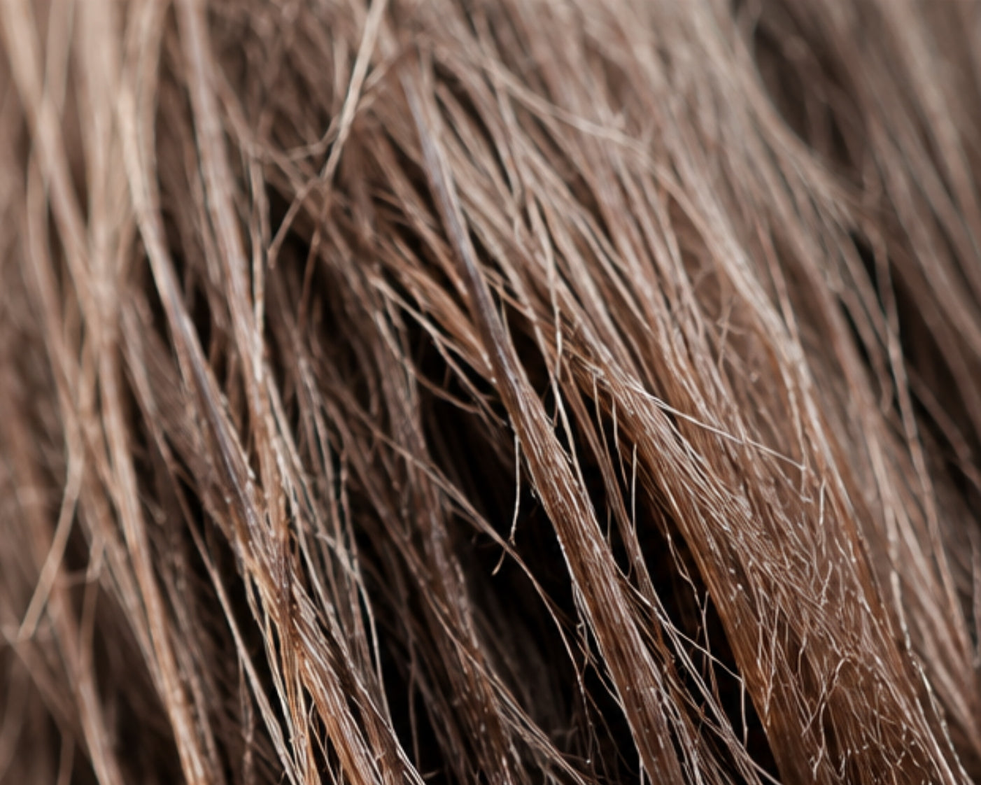 KT Milano Italian Premium Hair Care 